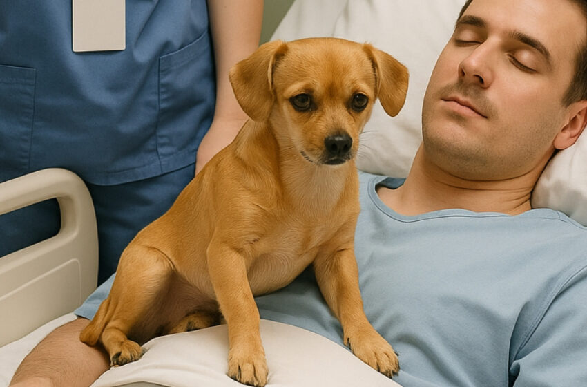  Doktorlar genç memurun yaşam destek ünitesini kapatmaya karar verdi. Ona veda eden köpeği, inanması güç bir mucize gerçekleştirdi