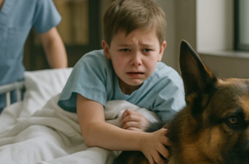  Doktorların çocuğa yaklaşmasına izin vermeden homurdandı. Herkes köpeğin korkudan delirdiğini sandı; ta ki gerçek herkesi dondurana kadar